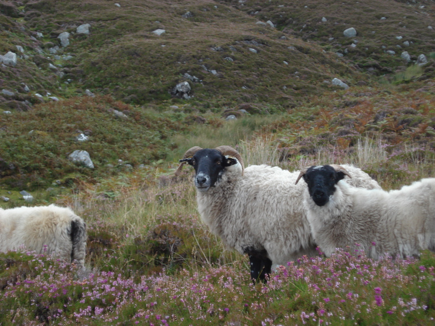 vivre-dans-le-cantal