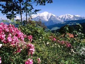 Haute-Savoie (Mont-Blanc)