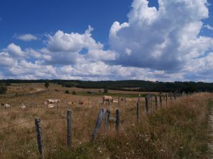 s'installer en Lozère aubrac vivre déménager habiter saint-chély-d'apcher