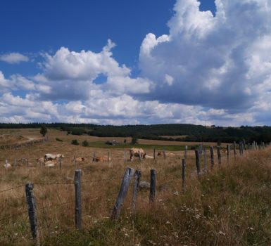 s'installer en Lozère aubrac vivre déménager habiter saint-chély-d'apcher