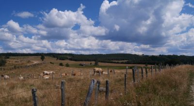 s'installer en Lozère aubrac vivre déménager habiter saint-chély-d'apcher