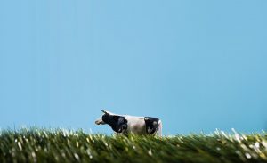 agriculture assurances paysan cotentin normandie manche carrière reconversion changement changer métier podcast prisma média management capital